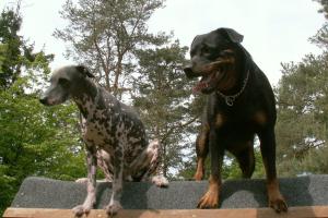 obr�zek: pict0018.jpg; rozli�en�: 300 � 200 px; velikost 16 kb;