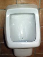 obr�zek: pict0062.jpg; rozli�en�: 150 � 200 px; velikost 4 kb;