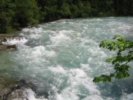obr�zek: img_0511.jpg; rozli�en�: 266 � 200 px; velikost 12 kb;