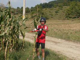 obr�zek: pict0024.jpg; rozli�en�: 266 � 200 px; velikost 13 kb;
