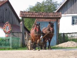 obr�zek: img_0035.jpg; rozli�en�: 266 � 200 px; velikost 14 kb;