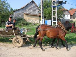 obr�zek: img_0037.jpg; rozli�en�: 266 � 200 px; velikost 15 kb;