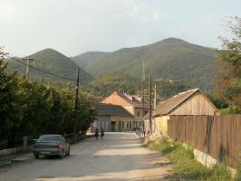 obr�zek: pict0052.jpg; rozli�en�: 266 � 200 px; velikost 9 kb;