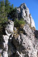obr�zek: img_0088.jpg; rozli�en�: 133 � 200 px; velikost 9 kb;