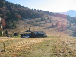 obr�zek: img_0003.jpg; rozli�en�: 266 � 200 px; velikost 11 kb;
