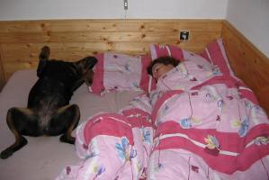 obr�zek: img_0165.jpg; rozli�en�: 299 � 200 px; velikost 11 kb;