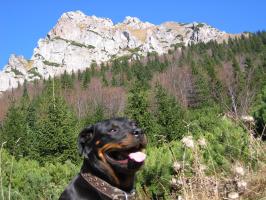 obr�zek: img_0175.jpg; rozli�en�: 266 � 200 px; velikost 15 kb;