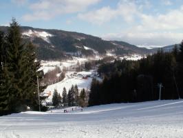 obr�zek: pict0020.jpg; rozli�en�: 266 � 200 px; velikost 10 kb;
