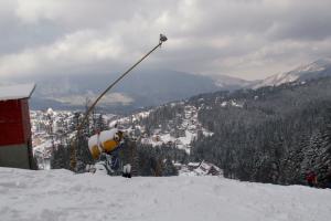 obr�zek: pict0010.jpg; rozli�en�: 300 � 200 px; velikost 9 kb;
