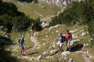 obr�zek: pict0024.jpg; rozli�en�: 300 � 200 px; velikost 18 kb;