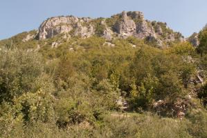 obr�zek: pict0027.jpg; rozli�en�: 299 � 200 px; velikost 15 kb;