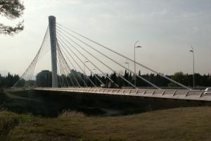 obr�zek: pict0003.jpg; rozli�en�: 300 � 200 px; velikost 9 kb;