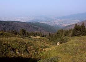 obr�zek: imgp7370.jpg; rozli�en�: 277 � 200 px; velikost 28 kb;