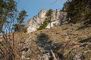 obr�zek: imgp0652.jpg; rozli�en�: 301 � 200 px; velikost 48 kb;