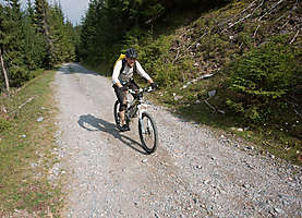obr�zek: imgp8358.jpg; rozli�en�: 277 � 200 px; velikost 41 kb;